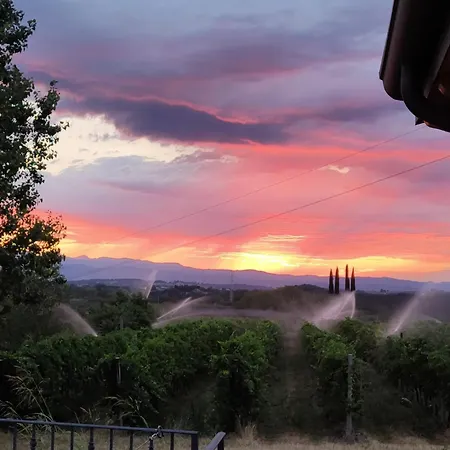 Agricampeggio Al Cielo Stellato