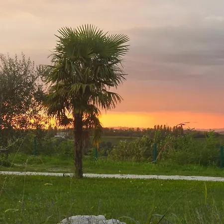 Agricampeggio Al Cielo Stellato Campeggio