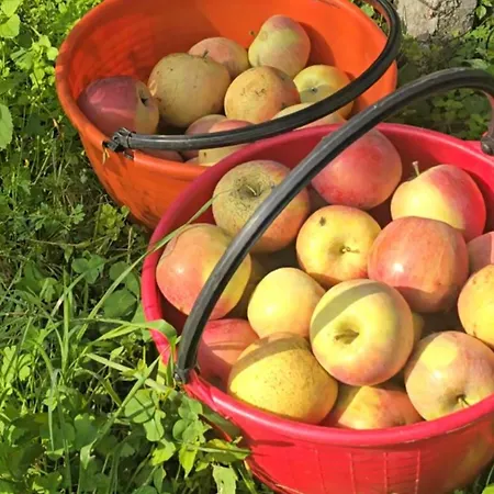 Agricampeggio Al Cielo Stellato Campingplatz Valeggio sul Mincio