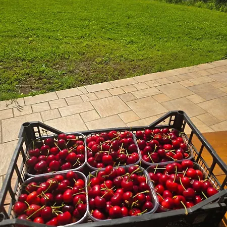 Agricampeggio Al Cielo Stellato Campingplatz
