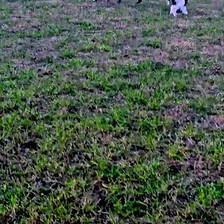 Agricampeggio Al Cielo Stellato Campingplatz Valeggio sul Mincio